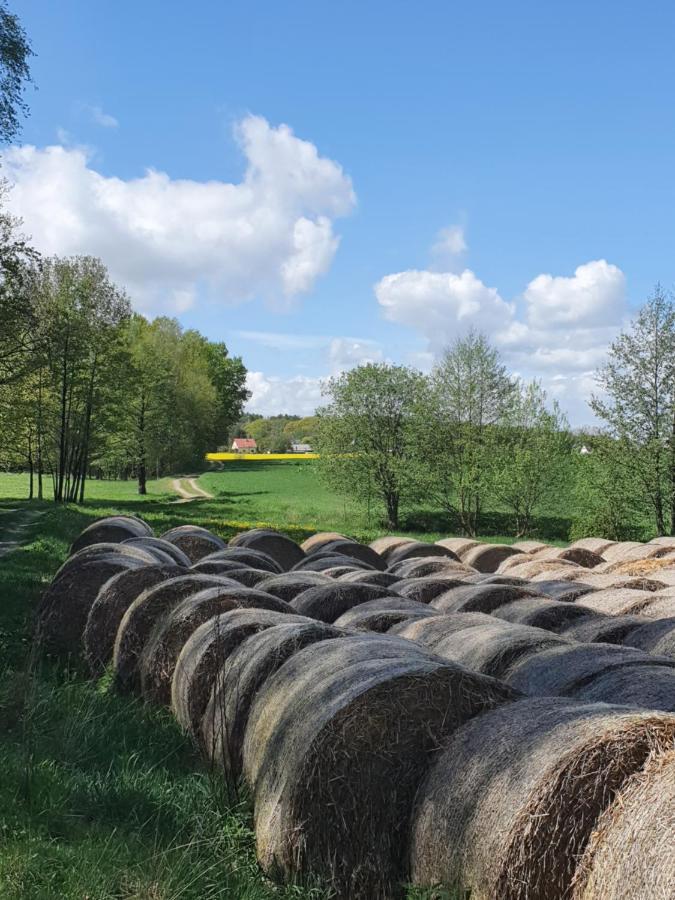 شقة Anni'S Waldblick Burgstadt المظهر الخارجي الصورة